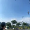trontrinh8