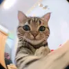 user_chomppanjj