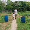 phong.lan.tm04