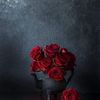 anor_abogoda