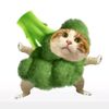 aiben.beamarnon