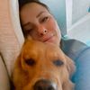 goldensunriseretriever