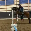 eq..miettinen