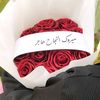 hajer.almeirab
