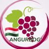 Angurbog