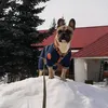 jnombutbolhoi5