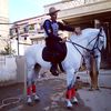 horseslovehorses0