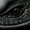 ....doctor.of.egyp