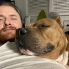 comfortablewerewolf