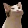 shrewdsalmon