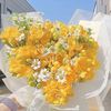 niin1_1