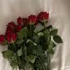 aishaalsffar