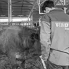 robin_agrivideo