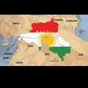 najiba12343