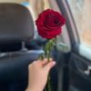 shahed_0fj