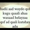 yussufmohamed348