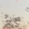 cherry_meeeee4