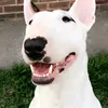 lucylovesmotherhood