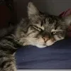 lover_b0y28