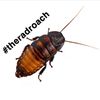 nugget_the_roach