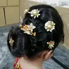 sajing786