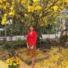 kieuquynh08