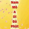 an.nhin7929