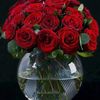 rami_150845