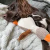 _milo_and_gracie_