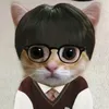 iradaki