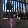 luumanh095