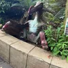 nothereforthefunofit