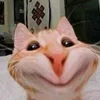 dy6mkuxa5wnc