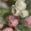 .exotic_precious