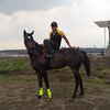 victor_mendozac.35