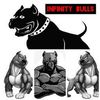infinitybulls