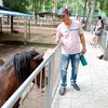 hoangvv71