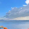 thaolinhthimo