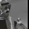 abu.mtub
