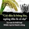 thanhdao.000001984