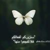 fatima.05.99