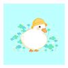 quack._.._.quack