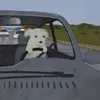 starcookiedust