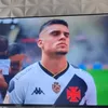 peregrinopereira2