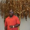 dannybuilt_