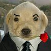 el_______insano33138