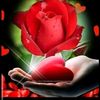 user16651350403