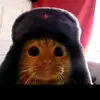 gato_sovietico_abraham