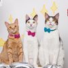 Gatitos cósmicos 💗