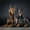 heartdogimages